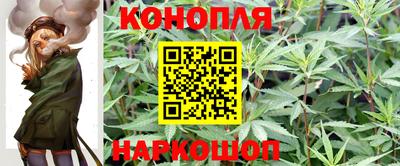 мдпв Малгобек