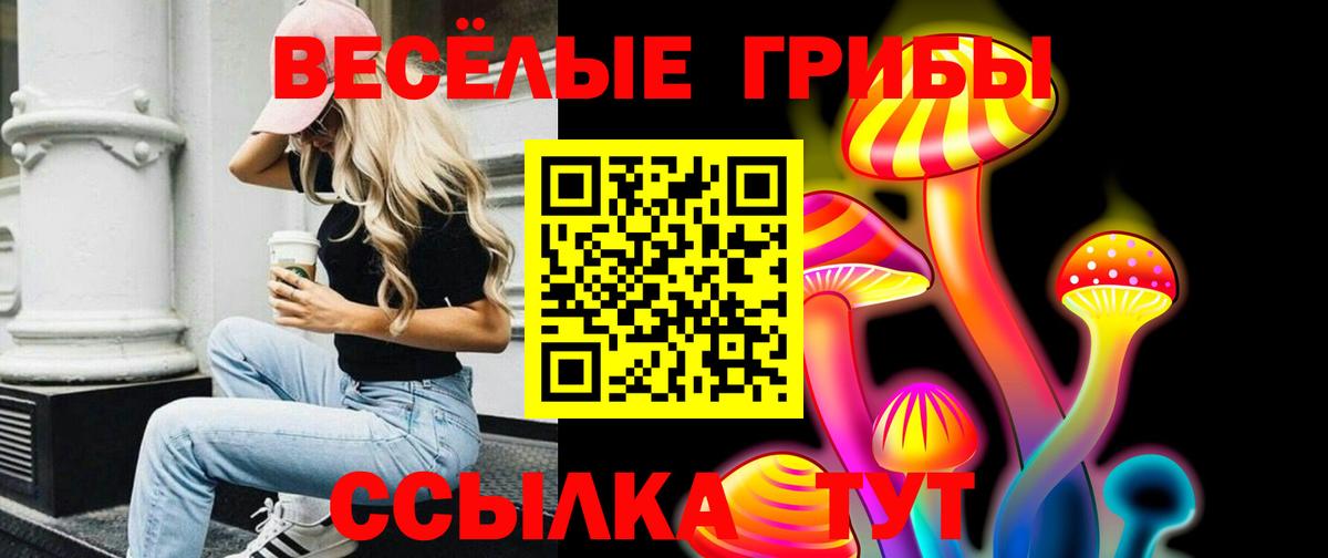 Псилоцибиновые грибы GOLDEN TEACHER  Псилоцибиновые грибы ЛСД  Ялта  Вход с VPN 